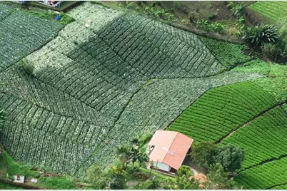 Finca Los Almendros, Glendale, CA  - Photo 13