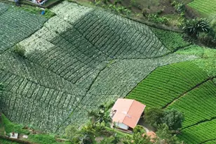 Finca Los Almendros, Glendale, CA - Photo 13