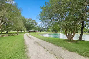 26523 Dobbin-Huffsmith Rd, Magnolia, TX 77354 - Photo 3