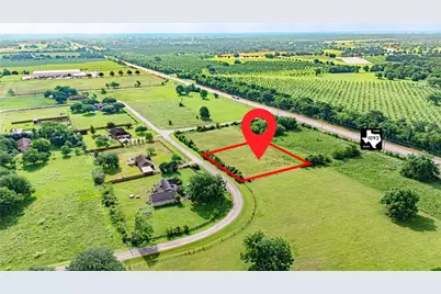 219 Pony Lane, Simonton, TX 77485 - Photo 7