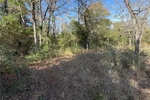 Lot 34 Cr 389, Jewett, TX 75846 - Photo 7