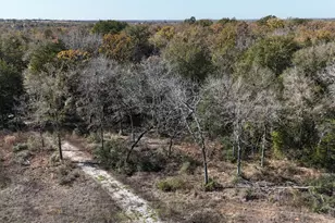 Lot 34 Cr 389, Jewett, TX 75846 - Photo 21