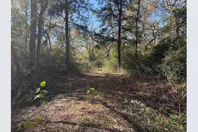 Lot 34 Cr 389, Jewett, TX 75846 - Photo 11