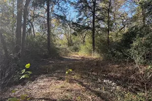 Lot 34 Cr 389, Jewett, TX 75846 - Photo 11