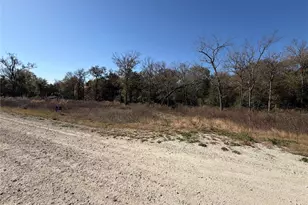 Lot 34 Cr 389, Jewett, TX 75846 - Photo 1