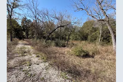 Lot 34 Cr 389, Jewett, TX 75846 - Photo 5