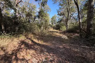 Lot 34 Cr 389, Jewett, TX 75846 - Photo 19