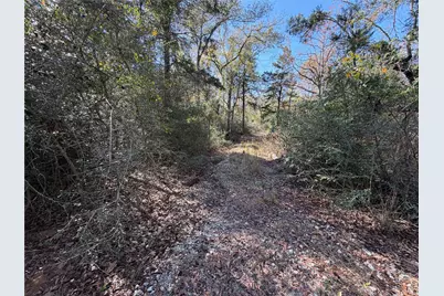 Lot 34 Cr 389, Jewett, TX 75846 - Photo 9