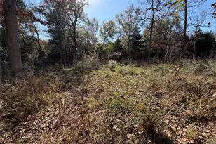 Lot 34 Cr 389, Jewett, TX 75846 - Photo 15