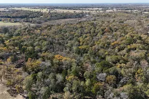 Lot 34 Cr 389, Jewett, TX 75846 - Photo 27