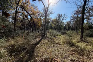 Lot 34 Cr 389, Jewett, TX 75846 - Photo 13