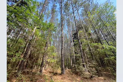 0 Cr 4525, Warren, TX 77664 - Photo 9