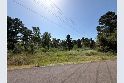 175 Hanson Road, Onalaska, TX 77360 - Photo 5
