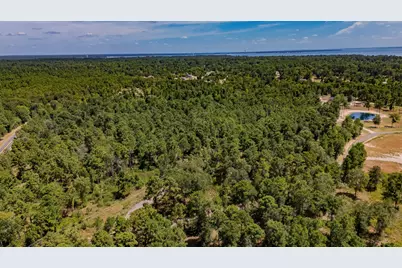 175 Hanson Road, Onalaska, TX 77360 - Photo 3
