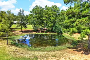1276 Co Rd 1050, Crockett, TX 75835 - Photo 5