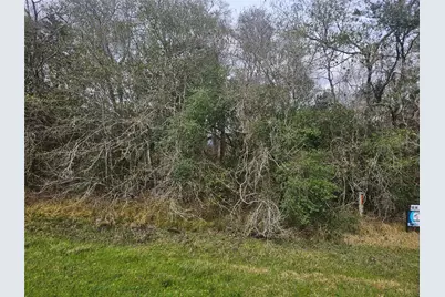 29929 Fm 1301 Road, West Columbia, TX 77486 - Photo 11