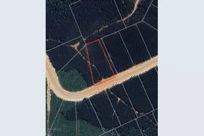 16076 Forest Mill Road, Willis, TX 77378 - Photo 3
