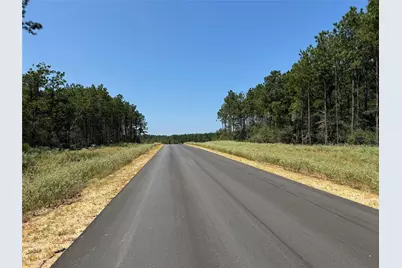 16076 Forest Mill Road, Willis, TX 77378 - Photo 7