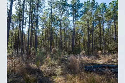 1 O'Quinn Road, Pollok, TX 75969 - Photo 23