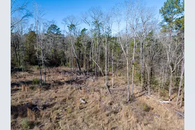 1 O'Quinn Road, Pollok, TX 75969 - Photo 7