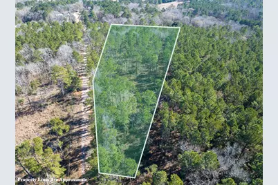 1 O'Quinn Road, Pollok, TX 75969 - Photo 3