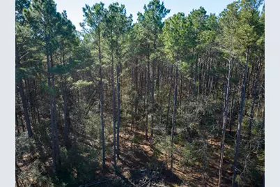 1 O'Quinn Road, Pollok, TX 75969 - Photo 13