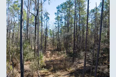 1 O'Quinn Road, Pollok, TX 75969 - Photo 25