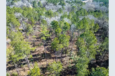 1 O'Quinn Road, Pollok, TX 75969 - Photo 15