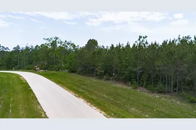 12050 High Branch Way, Willis, TX 77378 - Photo 11