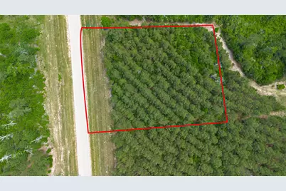 12050 High Branch Way, Willis, TX 77378 - Photo 7