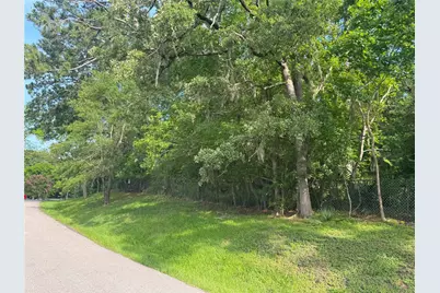 Tbd Lakeshore /Black Walnut Drive, Coldspring, TX 77331 - Photo 7