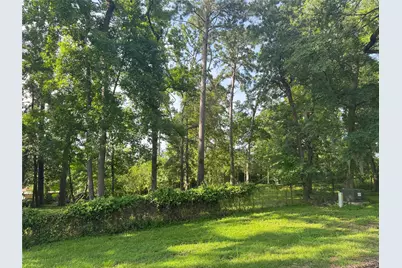Tbd Lakeshore /Black Walnut Drive, Coldspring, TX 77331 - Photo 9