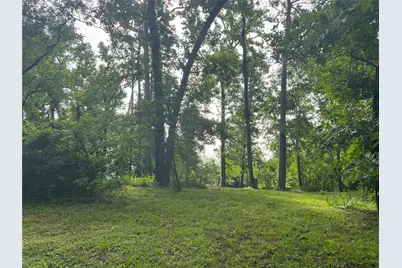 Tbd Lakeshore /Black Walnut Drive, Coldspring, TX 77331 - Photo 19