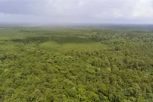 Tbd Old Beaumont Hwy, Silsbee, TX 77656 - Photo 1