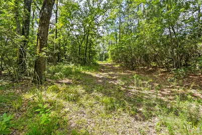 38 Darrell White Road, Huntsville, TX 77340 - Photo 43