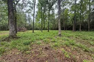 78 Hall Dr N, Montgomery, TX 77316 - Photo 5