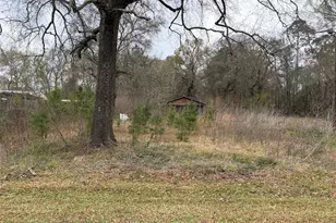 1345 3rd St, Vidor, TX 77662 - Photo 1