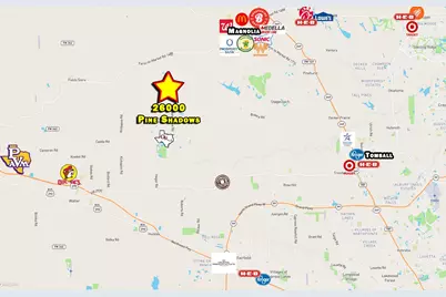 26000 Pine Shadows Drive, Hockley, TX 77447 - Photo 5