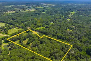 0 Mt Zion Rd, New Waverly, TX 77358 - Photo 15