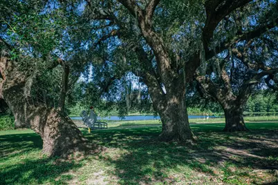 10671 Hidalgo Falls Rd, Washington, TX 77880 - Photo 1
