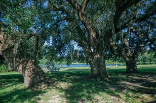 10671 Hidalgo Falls Rd, Washington, TX 77880 - Photo 1