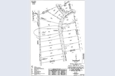 15697 Forest Grove Drive, Willis, TX 77378 - Photo 3