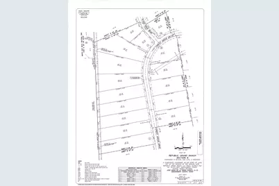 15697 Forest Grove Drive, Willis, TX 77378 - Photo 5