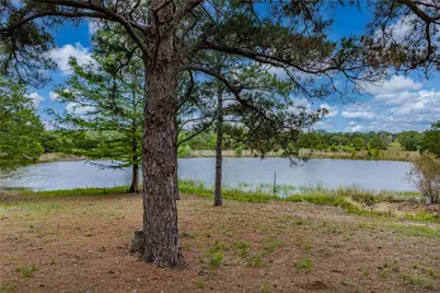1555 Wildwood Road, Ledbetter, TX 78946 - Photo 3