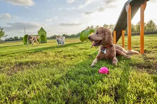 7106 Rustic Frst Dr, Katy, TX 77493 - Photo 25
