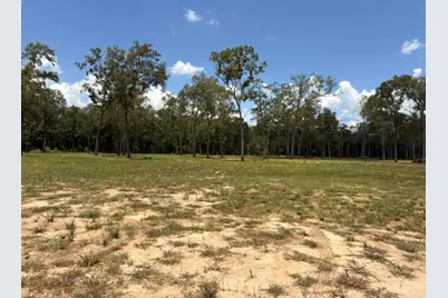 1500 County Road 632, Dayton, TX 77535 - Photo 11