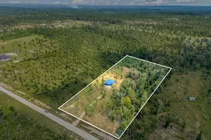 1100 Reveille, Livingston, TX 77351 - Photo 3