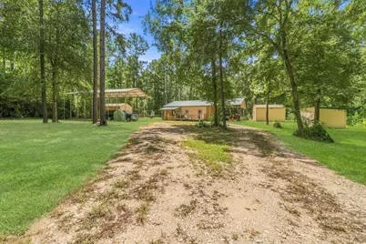 340 Tree Monkey Road, Livingston, TX 77351 - Photo 43