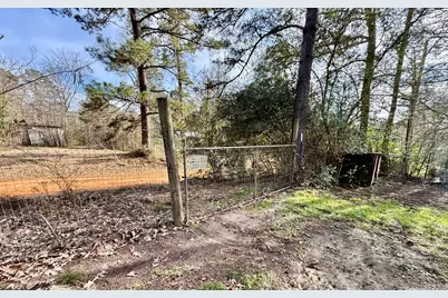 794 The Ole Barney Road, Livingston, TX 77351 - Photo 9