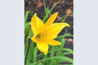 11223 Voltaire Drive, Houston, TX 77065 - Photo 25